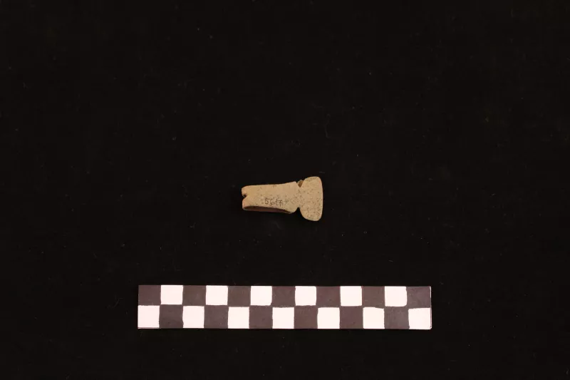 Pinza