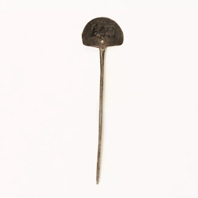 Tupu