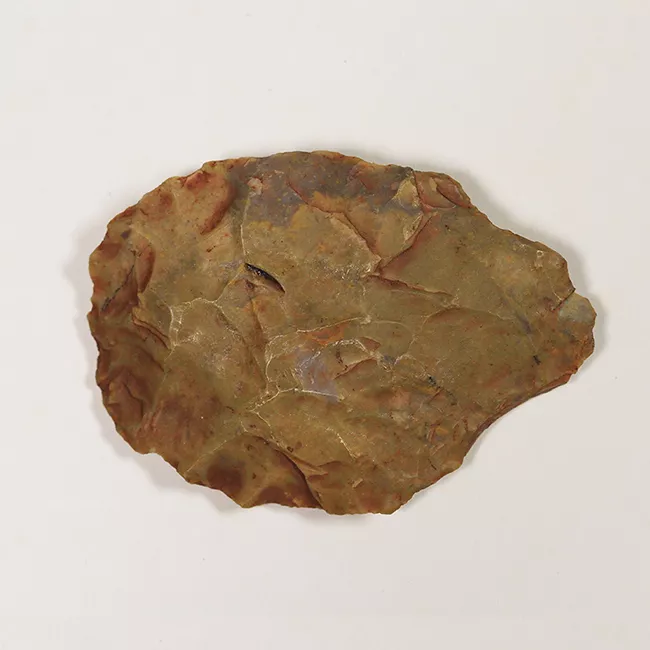 Raedera