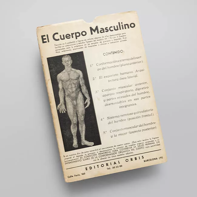 El cuerpo masculino