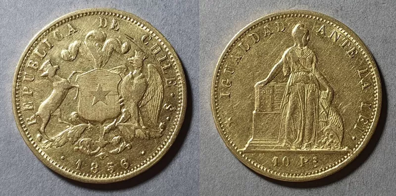 Moneda de 10 Pesos (República)