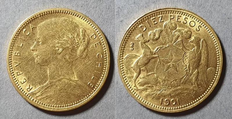 Moneda de 10 pesos (República)