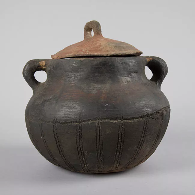 Olla