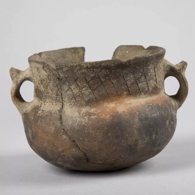 Olla