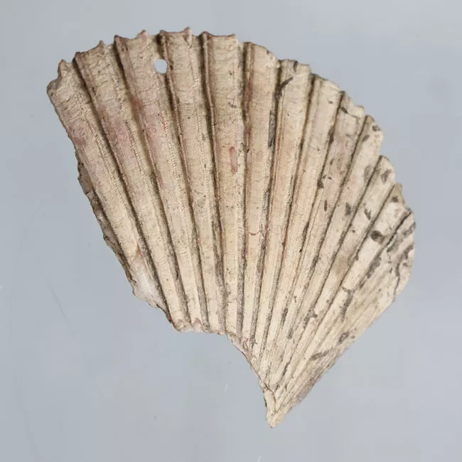 Colgante