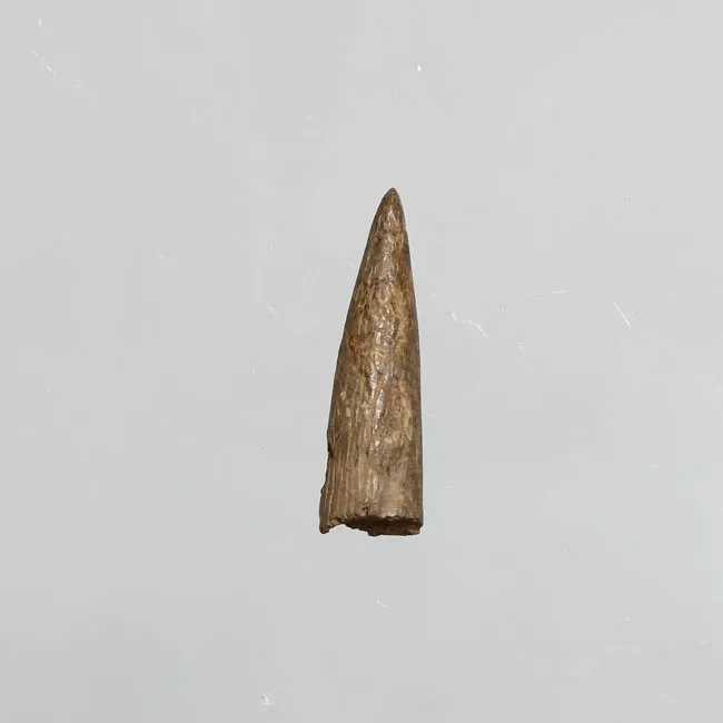 Punzón (arqueológico)