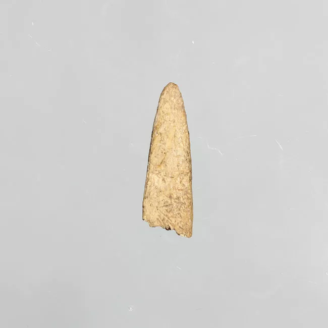 Pulidor (arqueológico)