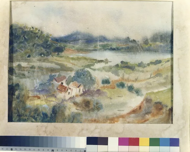 Paisaje de Contulmo