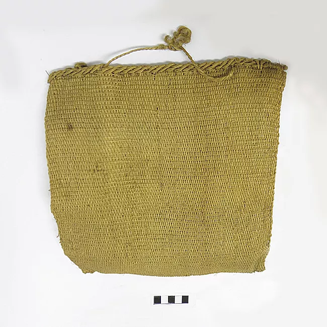 Bolsa (contenedor)