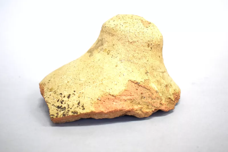Botija
