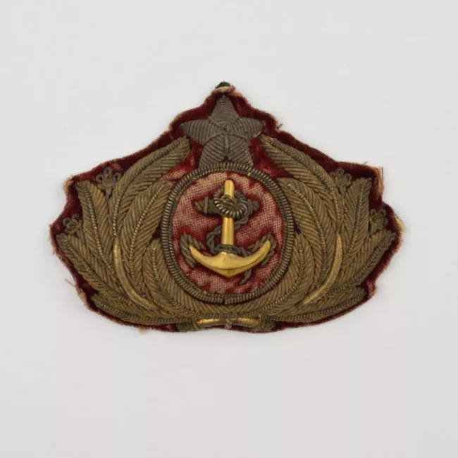 Insignia (artefacto de identificación)