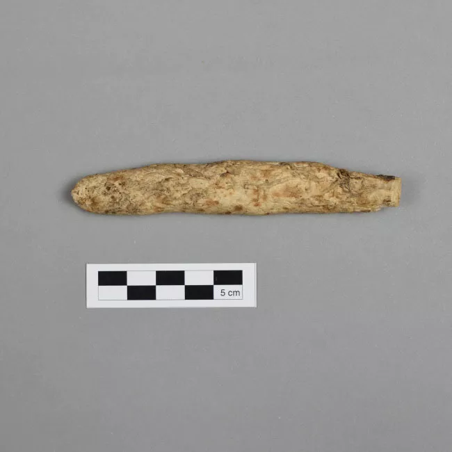Rollo (artefacto de información)