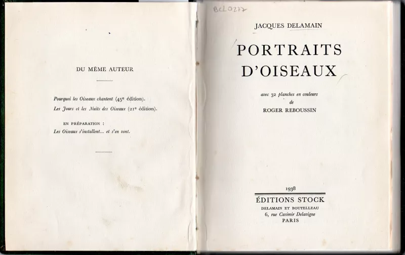 Portraits D´oiseaux