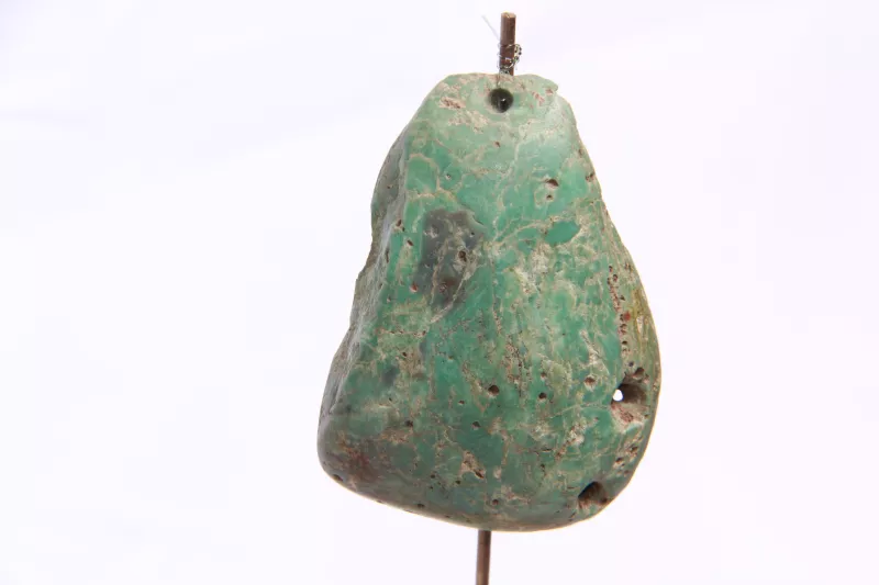 Pectoral