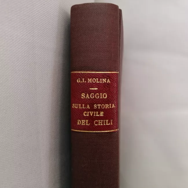 Saggio sulla storia civile del Chili