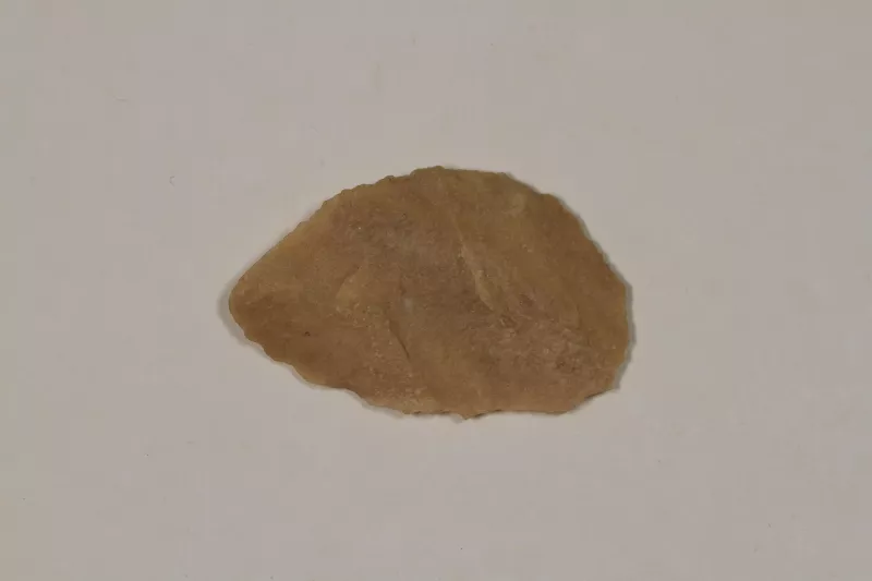Raedera