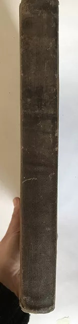 Libro de Remate N° 117
