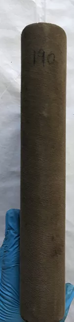 Libro de Remate N° 190