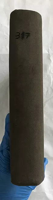 Libro de Remate Nª 317