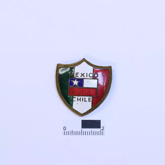 Pin