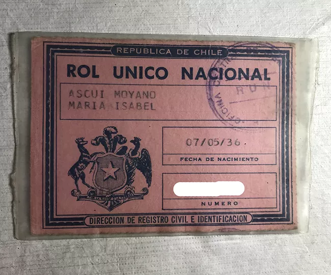Rol Único Nacional de María Isabel Ascui Moyano