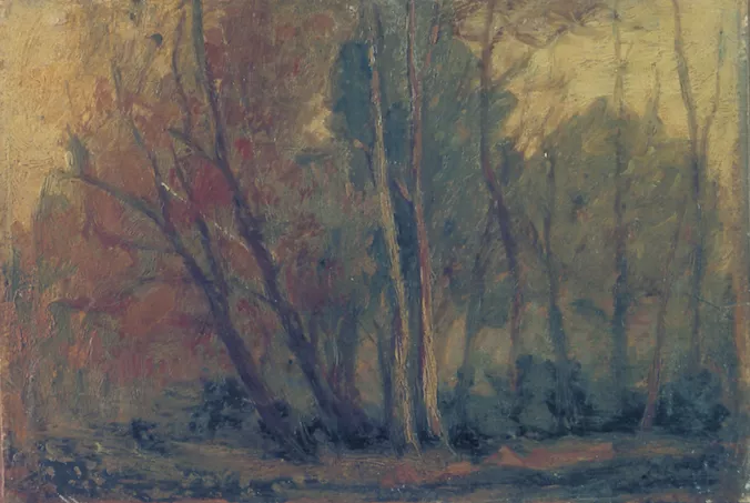 Parque