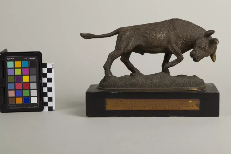 Trofeo (premio)