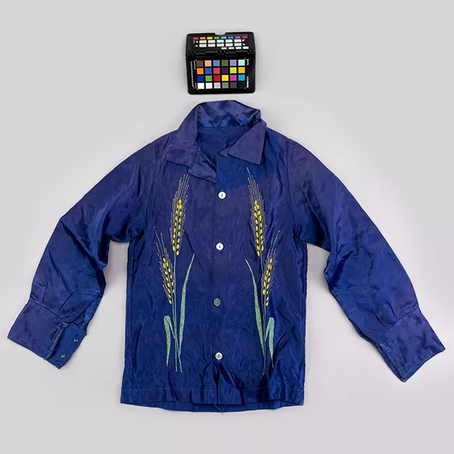 Camisa