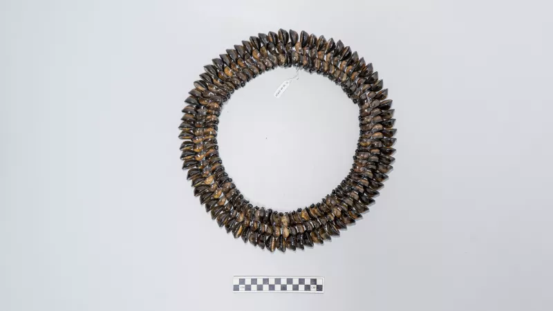 Collar (accesorio de vestir)
