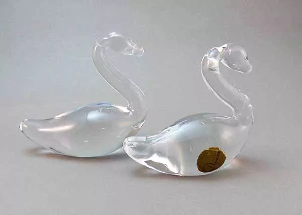 Pareja de cisnes