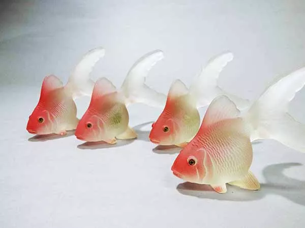 Peces