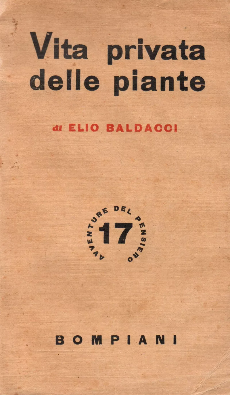 Vita privata delle piante