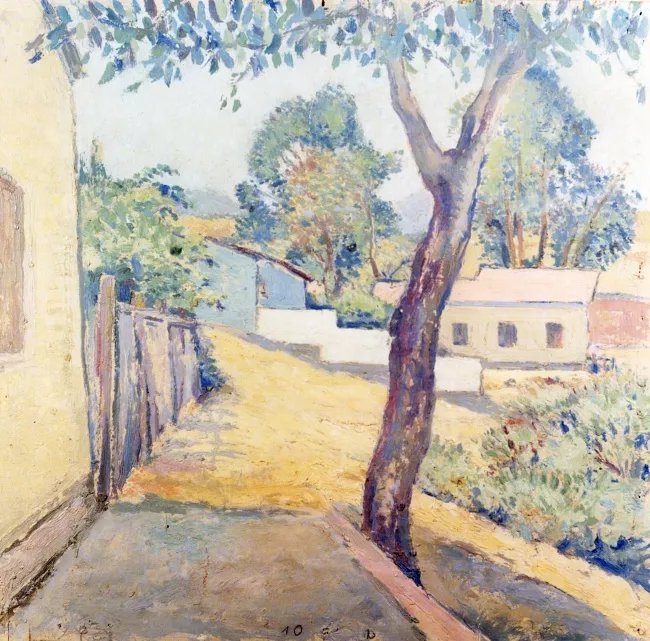 Tronco de un árbol