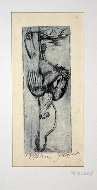 El gallo