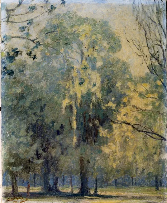 Paisaje
