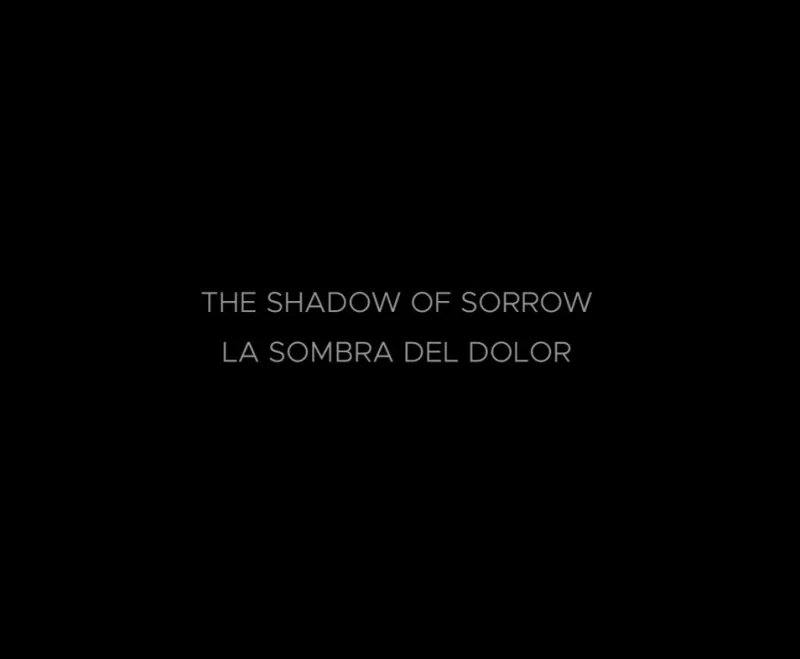 The Shadow of Sorrow