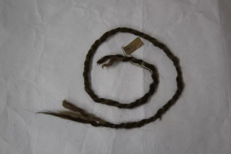 Cordón