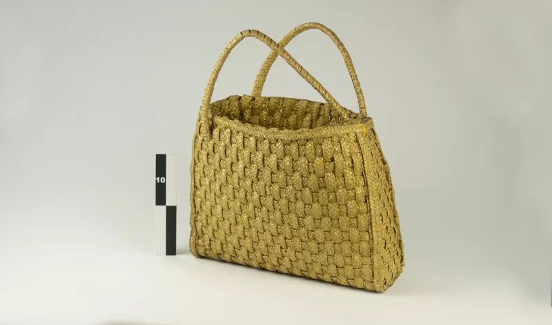 Bolsa (contenedor)