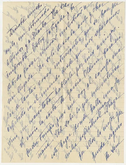 Carta de Inés Echeverría a Alfonso Bulnes