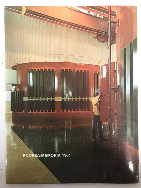 Endesa. Memoria 1981