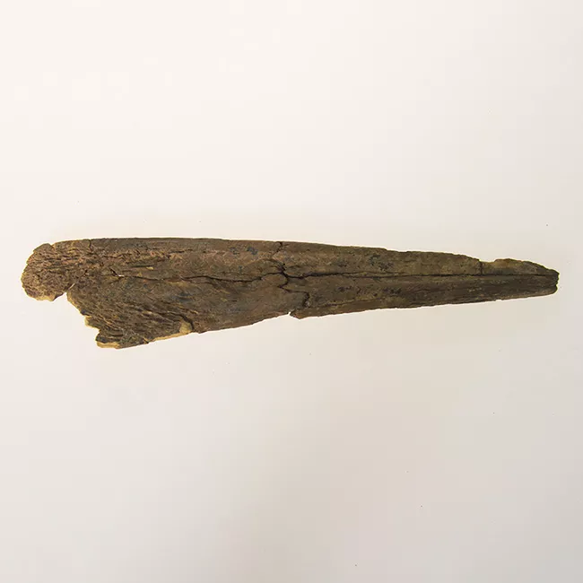 Espátula (uso personal)