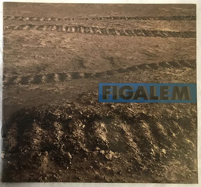 Informe Figalem 1975. Version 1
