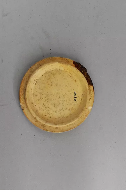 Tapa (cubierta)
