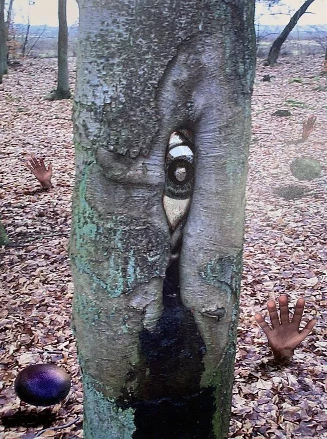 Root hands