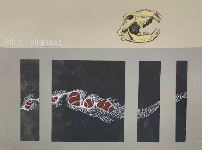 Sólo sombras