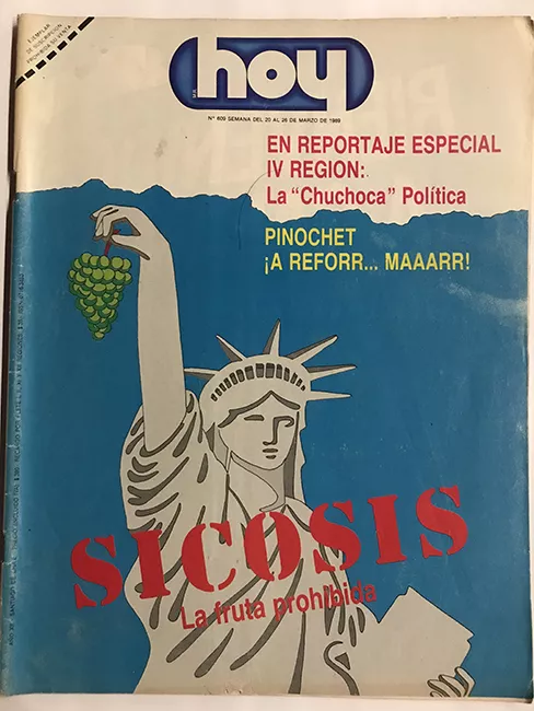 Revista HOY año XII n°609. 20 marzo 1989-26 marzo 1989. Sicosis, la fruta prohibida