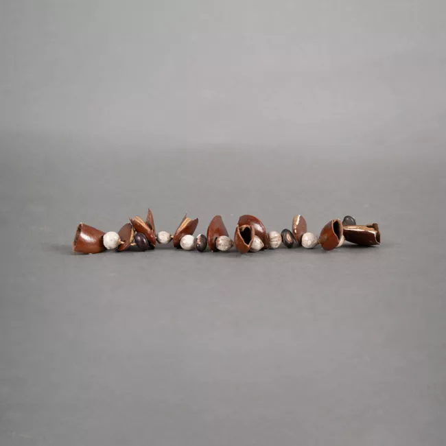 Pulsera
