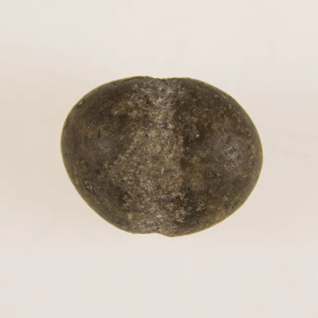 Pesa de red