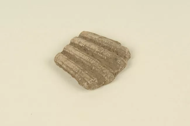 Ecofacto