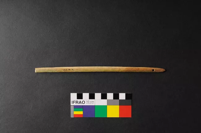 Aguja (arqueológico y etnográfico)
